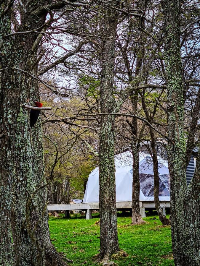 Glamping Patagonia Nativa Rural Hotel Coyhaique Exterior foto
